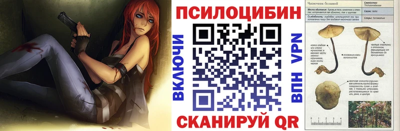 наркотики  Прохладный  Галлюциногенные грибы мухоморы 