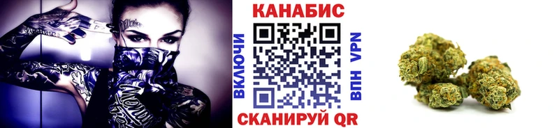 Конопля индика  купить наркотики цена  Прохладный 